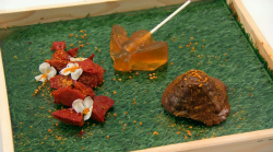 Graham’s All About The Beesness dessert on the Great British Menu