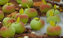 Neil, Alice and Paula’s Apple Crumble dessert on Bake Off Creme de la Creme