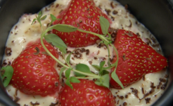 Reli and Sam’s  Italian amaretto delight dessert on Chopping Block