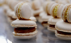 Tomas, Neil and Melisa’s macaroons religious on Bake Off Creme de la Creme