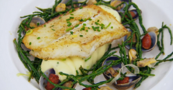 Pedro’s brill with samphire on MasterChef