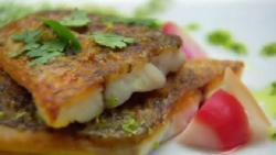 Brett’s crispy barramundi with corn and beetroot on MasterChef Australia