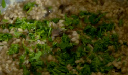 Dave’s Pearl Barley Mushroom risotto dish on The Food Chain