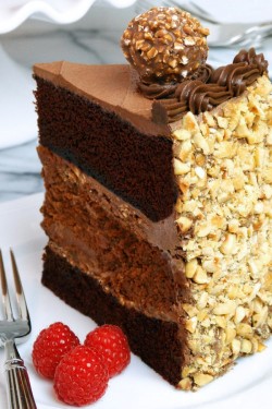 Chocolate Nutella Cheesecake Cake Dessert