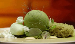 Reynold Poernomo green moss dessert on MasterChef Australia