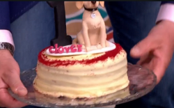 Clover’s birthday cake presented by Tony Hadley on This Morning