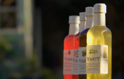 Jayne and David Mugridge fruit cordials on Saturday Kitchen