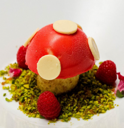 Theresa’s messina-inspired mushroom dessert on Masterchef Australia