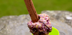 Tilly’s Pulled magic 99 ice cream on Matilda and the Ramsay Bunch