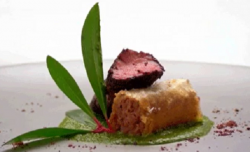 Elise’s kangaroo loin with mint and kale puree dish on Masterchef Australia