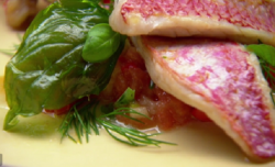 Red Mullet Fillets with Nightshade Sauce on MasterChef Australia