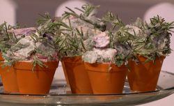 Zoe’s floral cake with crystallized herbs on The Great British Bake Off: An Extra Slice