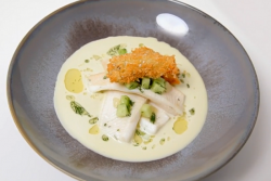 Nathan’s lemon sole with oysters, cucumbers and horseradish sauce dish on Yes Chef