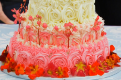 Selasi’s showstopper three tiered ombre floral cake on The Great British Bake Off