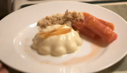 Catherine and Debbie’s roast rhubarb and potted custard with ginger crumble and candied or ...