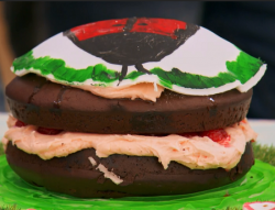 Yasmin’s ladybird cake on Junior Bake Off