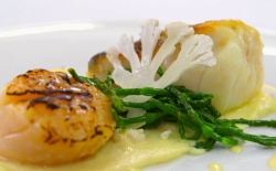 Wayne’s cod with blue cheese and scallop dish on on MasterChef: The Professionals