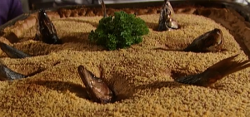 Stargazy pie on Rick Stein’s Cornish Christmas