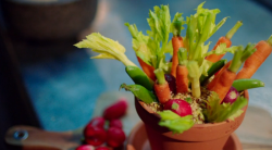 Michel Roux Jr hummus with a dukkah spice mix served in a flower pot on Hidden Restaurants