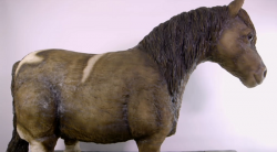 Molly’s Shetland Pony Cake on Extreme Cake Makers