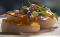 Sat Bains roast scallop with pigs head  starter on Masterchef 2017 UK