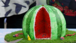 Flo’s red sponge with buttercream, dark chocolate chips and watermelon syrup illusion cake ...