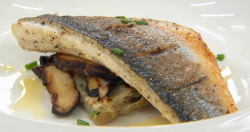 Dev’s sea bass with mushrooms and red wine sauce on Celebrity Masterchef 2017