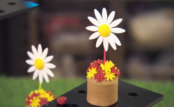 Becky Adlington’s little daisy flower pot with Victoria sponge made using Cherish Finden recipe  ...