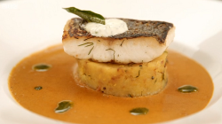 Suresh’s pan fried hake, masala mash potatoes with a mango and coconut curry sauce dish on ...