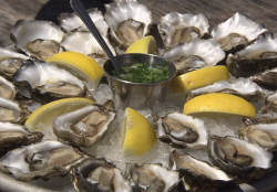 Terry’s oysters with hogwash sauce on Rick Stein’s Road To Mexico