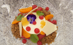 Octavia’s orange and vanilla panna cotta with rhubarb and white chocolate on  MasterChef:  ...