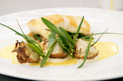 Ryan’s roasted brill with cauliflower and a spiced curry and mead sauce on MasterChef: The Profe ...