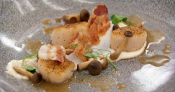 Kenny’s roasted scallops with mushrooms and a rose chicken sauce starter on Masterchef 201 ...