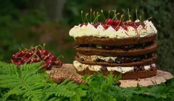 Hairy bikers’ black forest gateau with black cherry jam on Saturday kitchen