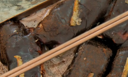 Briony’s turron and orange traybake on The Great British Bake Off 2018