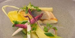 Shaun’s pan fried sea bass with cucumber and orange sauce on MasterChef: The Professionals