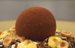 Matthew’s chocolate and hazelnut sphere with passionfruit and yoghurt crisps on MasterChef ...