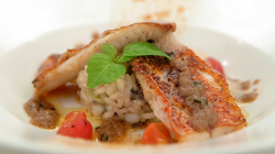 Irini’s red mullet with squid risotto winning starter on Masterchef 2019