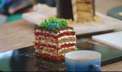 David’s greenhouse growing moss cake on The Great British Bake Off 2019