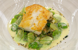 Louise’s pan fried cod with grapes, white fish sauce and a sweet pea puree on Masterchef T ...