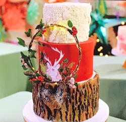 Becky’s woodland inspired cake on Kirstie’s Handmade Christmas