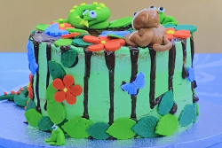 Zak’s rain forest Victoria sponge on Junior Bake Off 2019