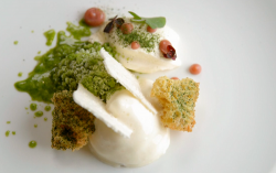 Olivia’s fig leaf mousse with almond foam and gooseberry compote dessert on MasterChef The ...