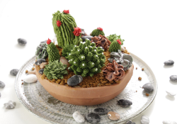 Juliet Sear’s cacti and succulents cake with a vegan buttercream on Beautiful Baking with  ...