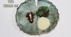 Niall’s 70% Croak-oa dessert on the Great British Menu