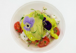 David’s halibut ceviche on Masterchef 2020