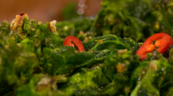 Akis and Jenny’s fried kale chips on Ready Steady Cook