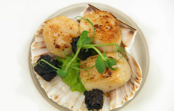 Bruce’s scallops, black pudding with pea and sherry puree on Masterchef 2020