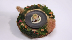 The Legend Of Twrch Trwyth pigs cheek starter by  Hywel Griffith on the Great British Menu 2020