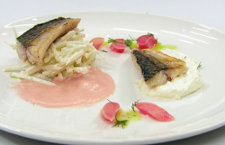 Claire’s mackerel with rhubarb sauce, celeriac slaw and horseradish cream on Masterchef 2020